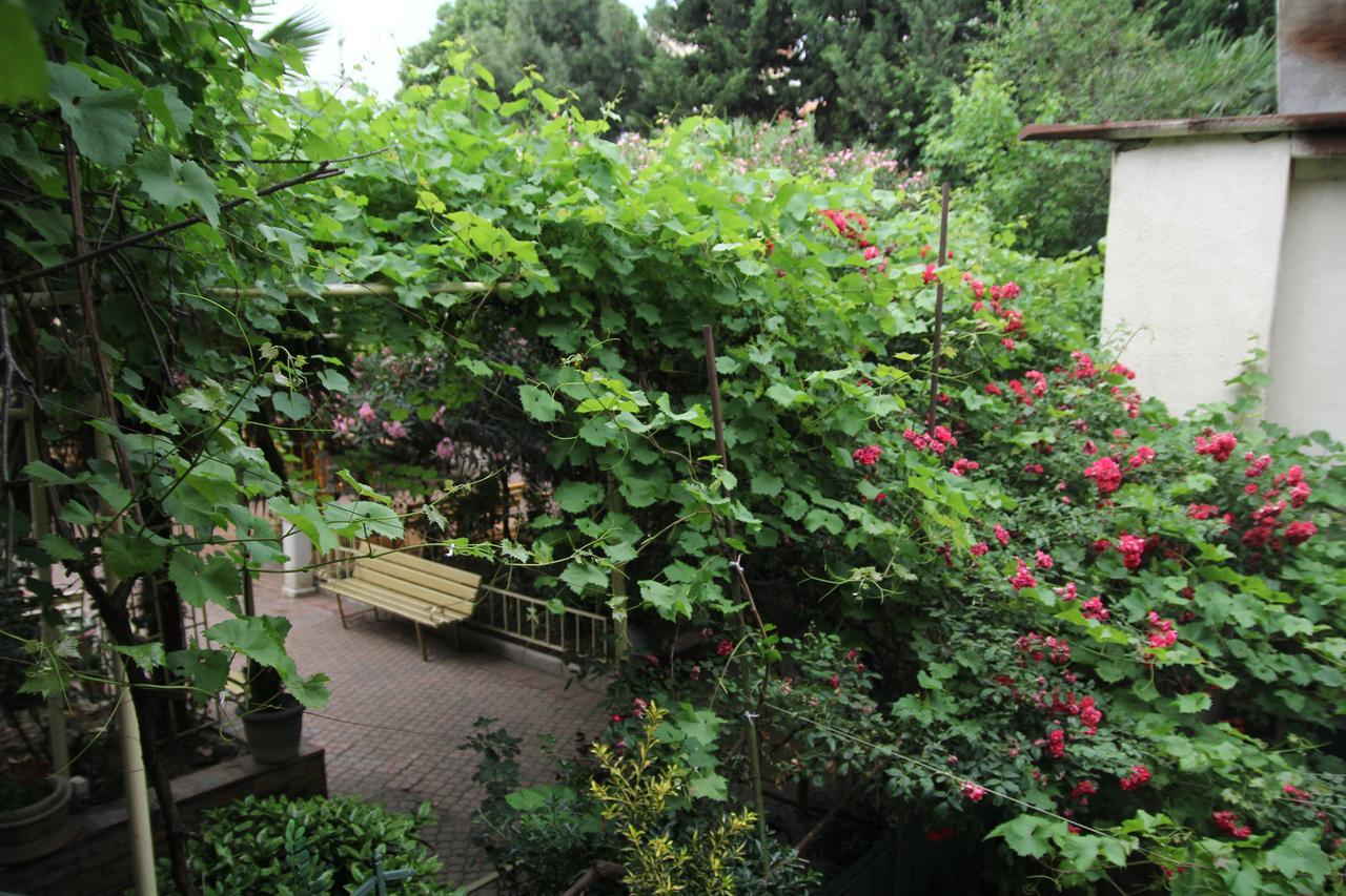 Guesthouse Different Tbilisi Esterno foto