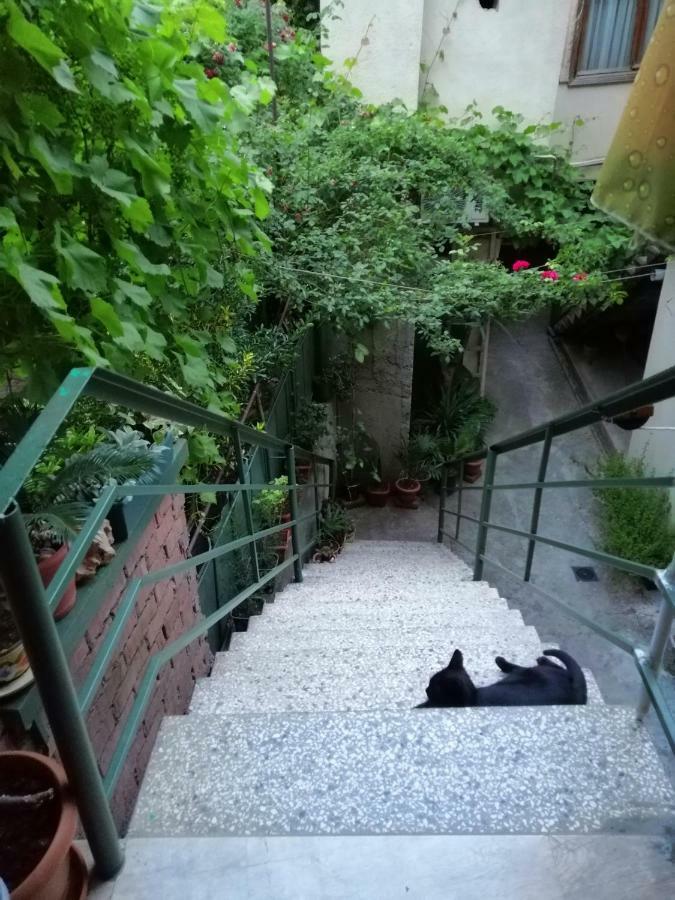 Guesthouse Different Tbilisi Esterno foto